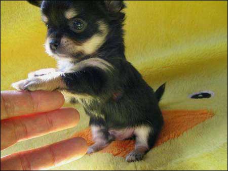 Will YOU be my daddy??