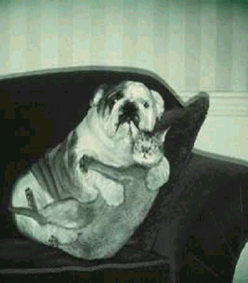 AHA!! Caught in the ACT!