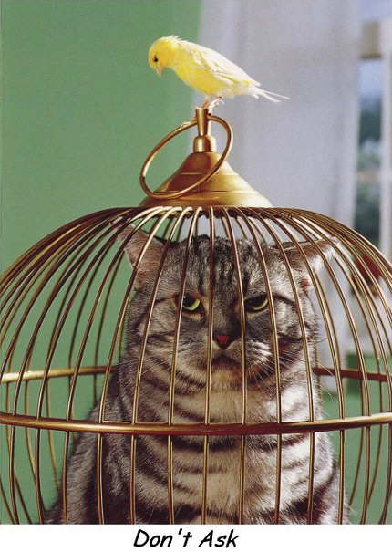 ahhh, sweet revenge!