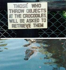 don't go in half-crocked ....