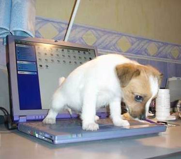 Sometimes, a keyboard DESERVES it ...