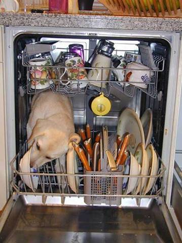 when you run out of detergent, use ...