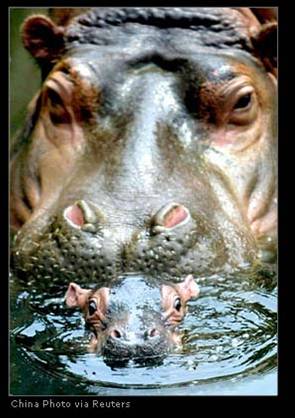 a mother's love (part I)