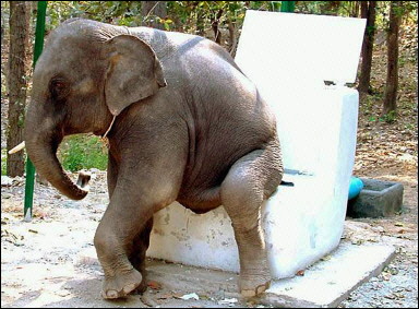 when ya gotta go, ya gotta GO!!