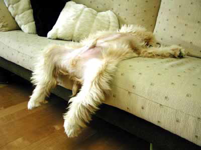 The ONLY way to relax!