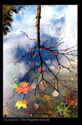 fall reflection ...