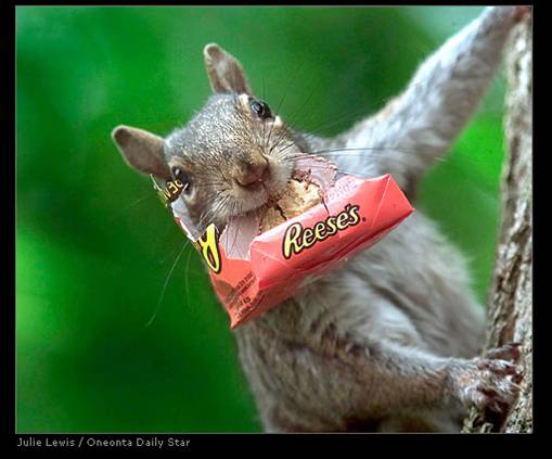well, Reese's® IS peanut butter ... key word: 'peanut' ... get it?