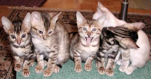there's ALWAYS one in every crowd ...