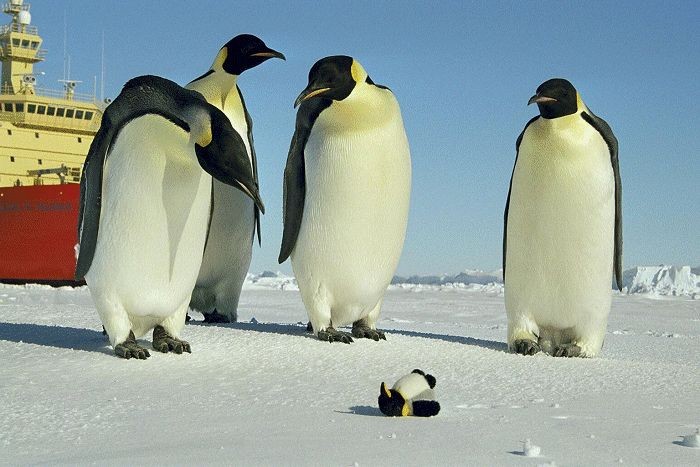 Hey  ... whose KID??  Yo, Chilly ... is this YOUR kid?  It sure ain't MINE ...
